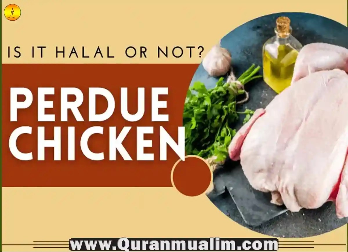 Is Perdue Chicken Halal in Islam? Quran Mualim