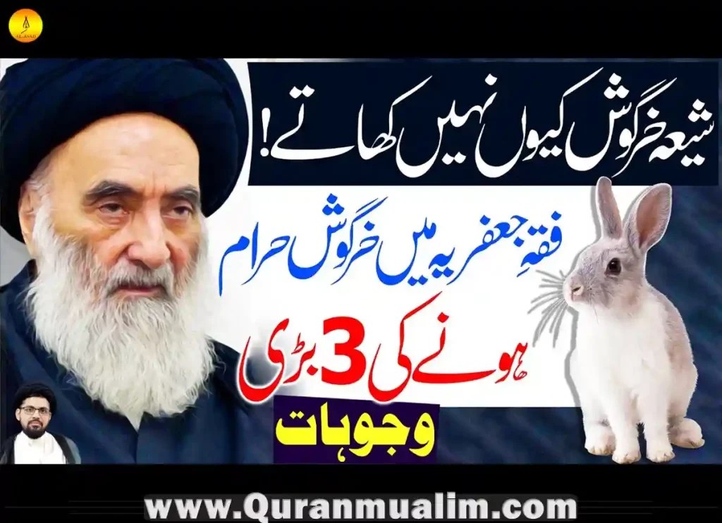 Is Rabbit Meat Halal in Islam? Quran Mualim