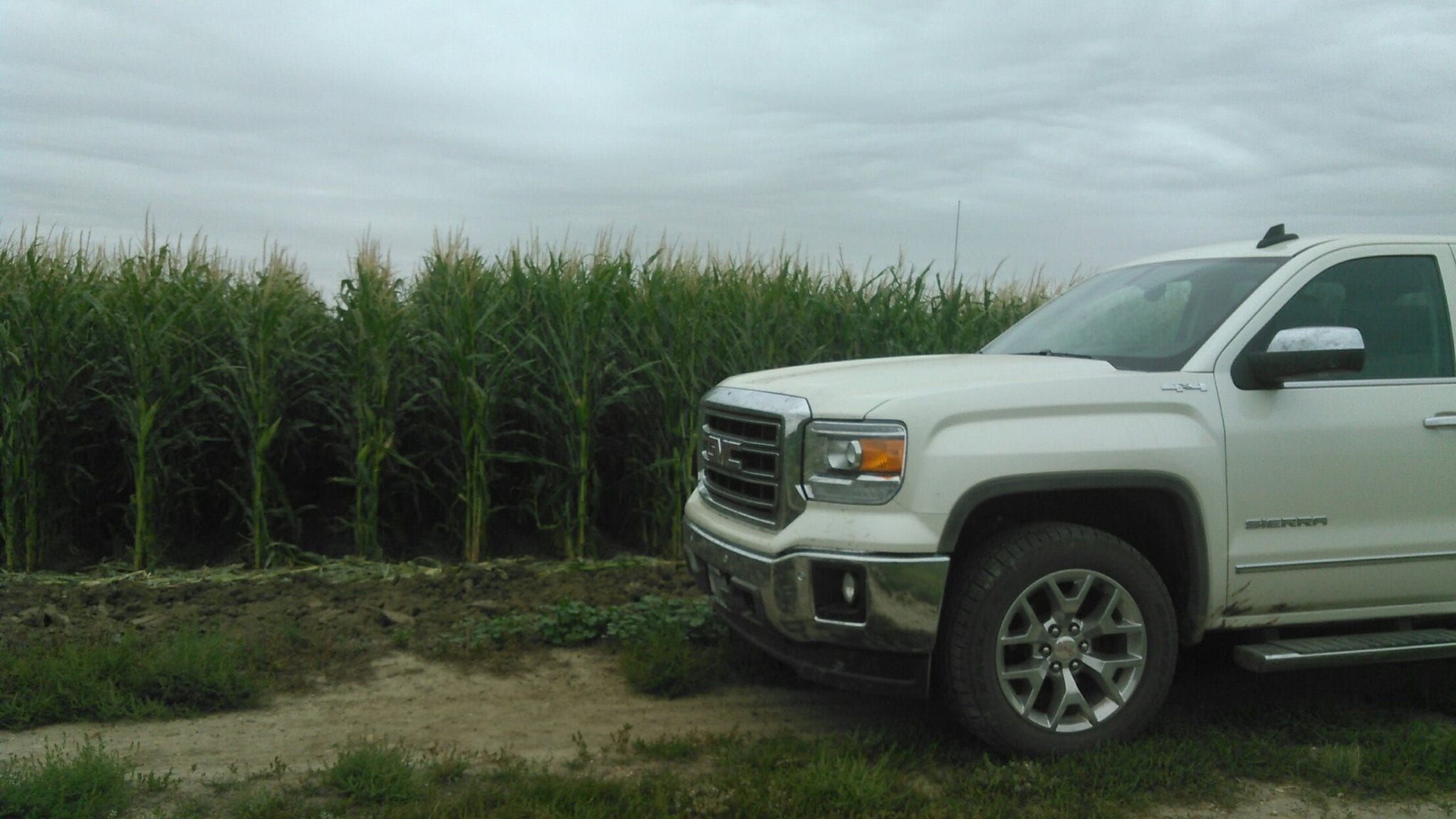 Richland County Land Auction (11.19.15) RK Statewide Auction Service