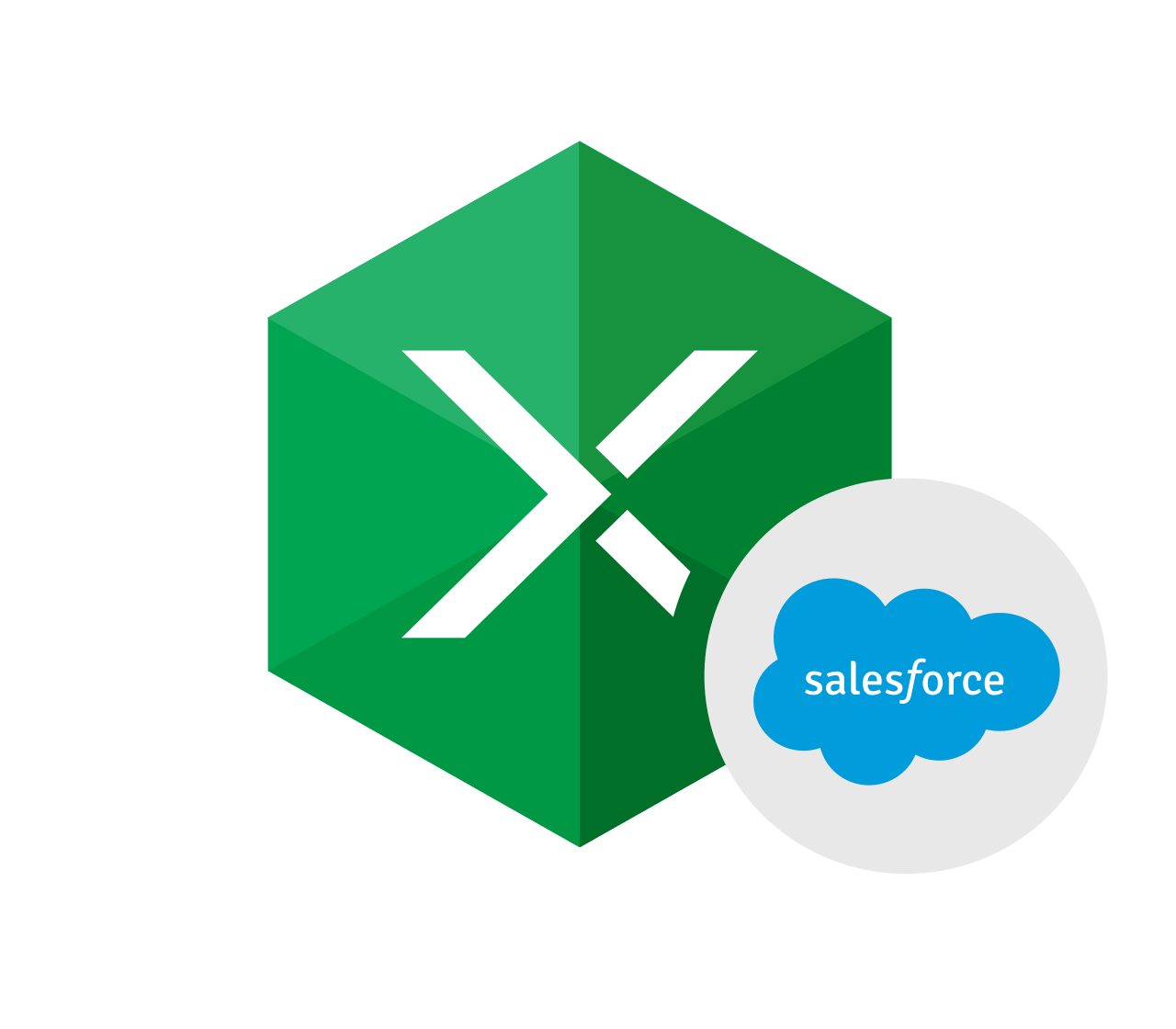 Excel Addin for Salesforce R2 Data Technology