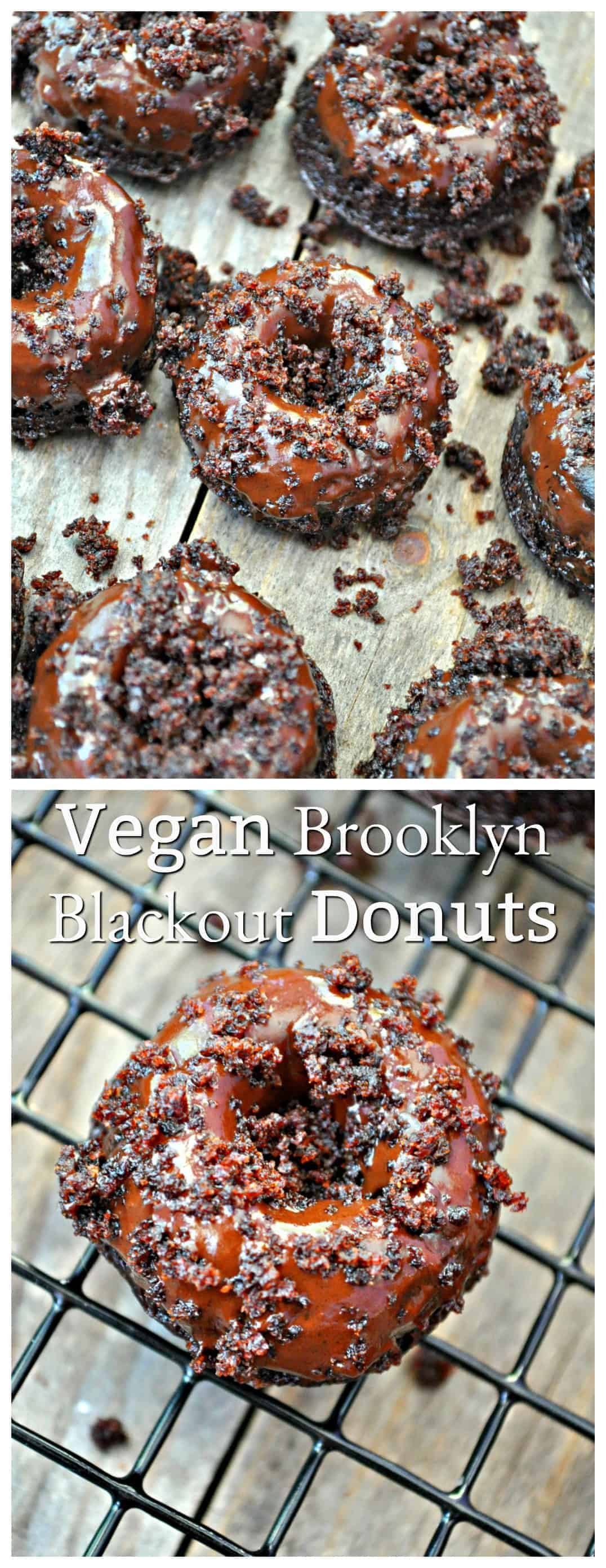 Vegan Brooklyn Blackout Donuts Rabbit and Wolves