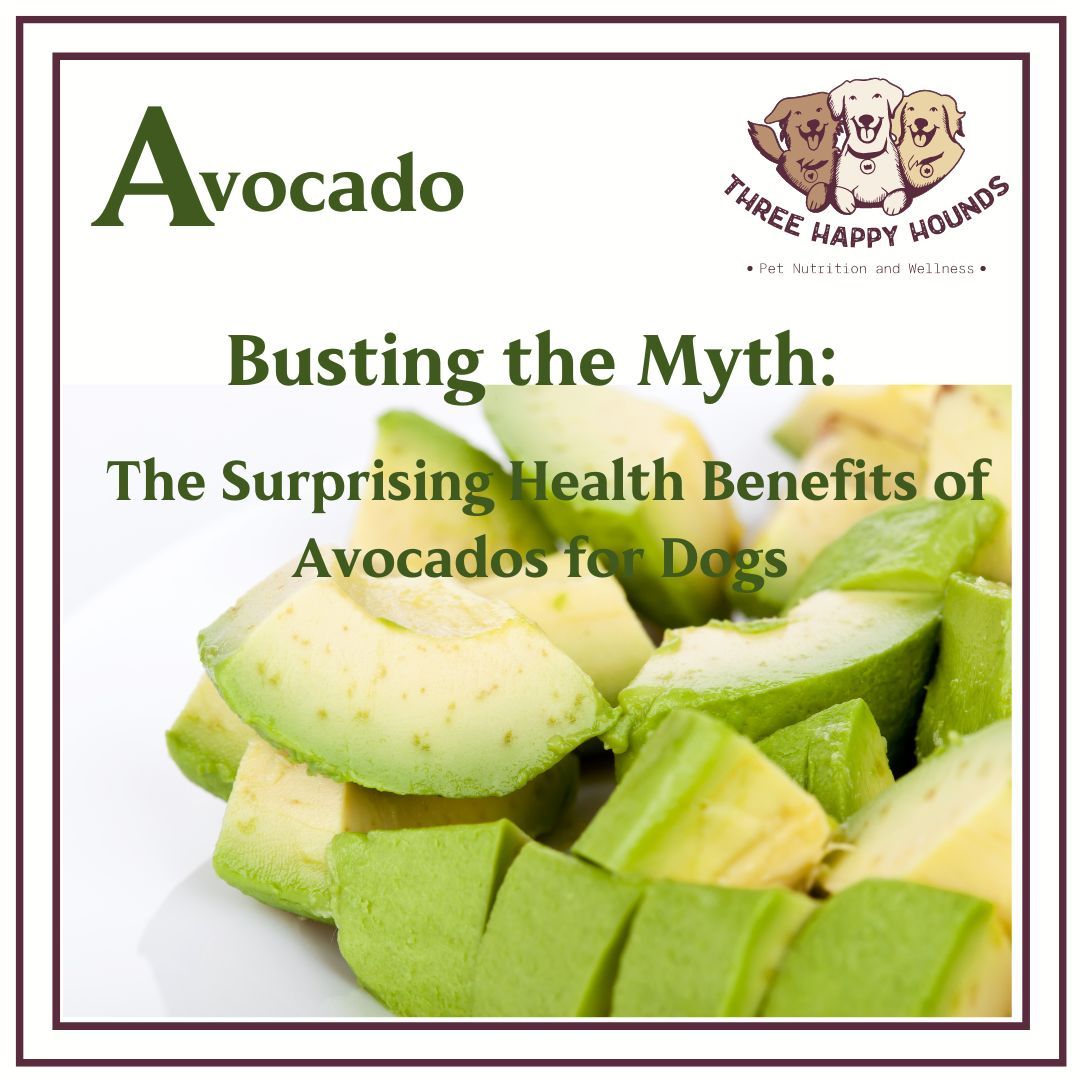 Is Avocado Oil Safe for Dogs？ Benefits and Risks Explained