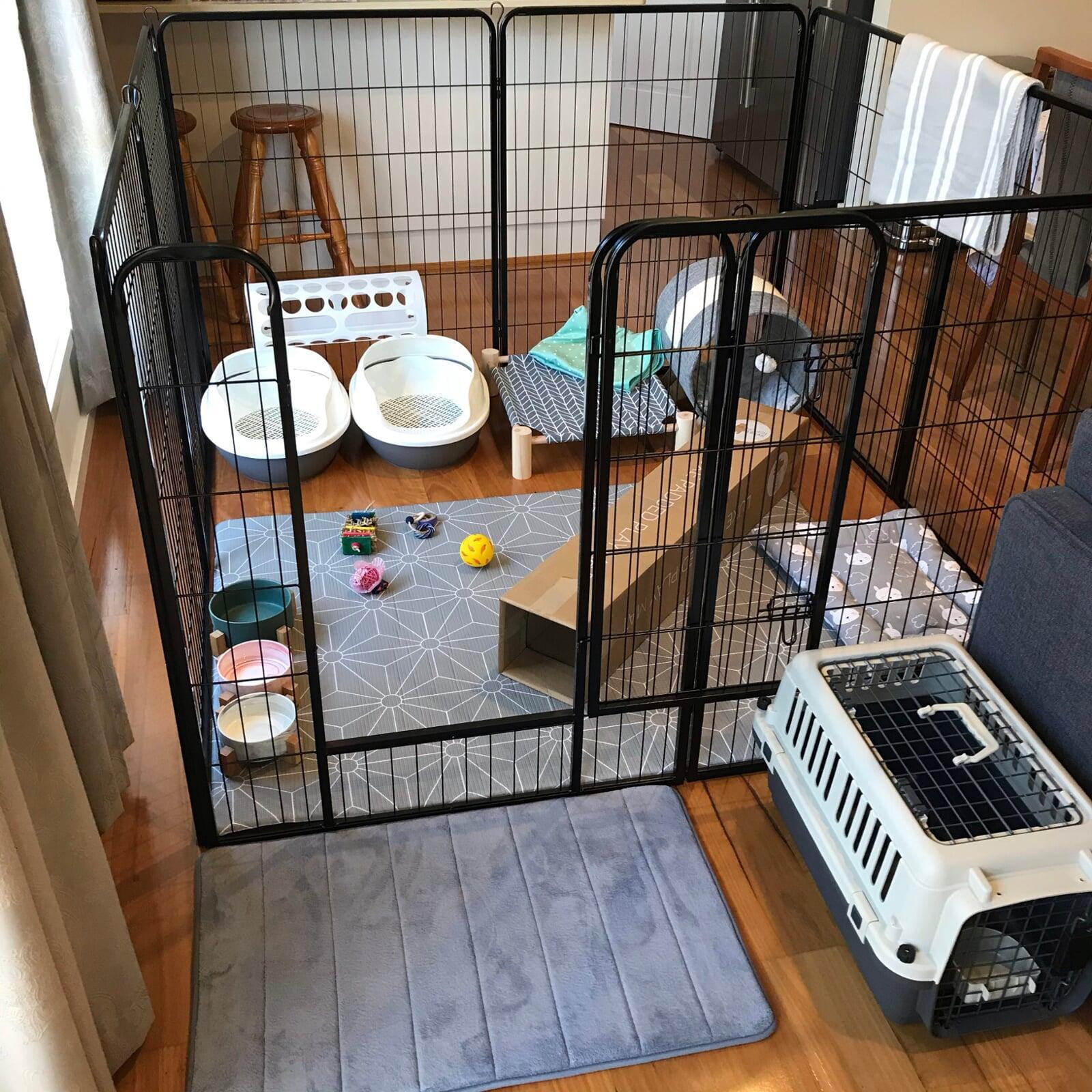 How to adopt The Rabbit Sanctuary