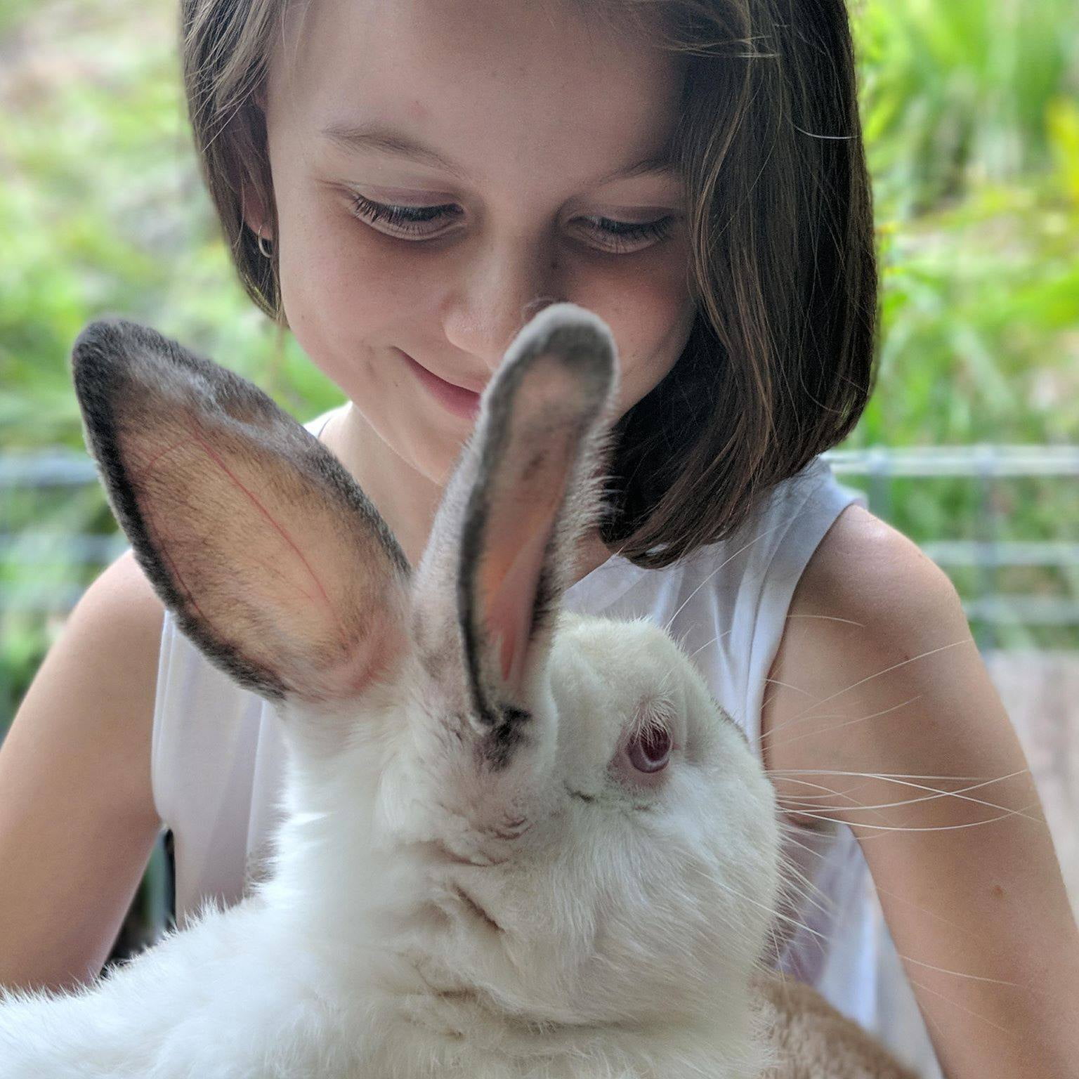 Rabbit Rescue Sanctuary