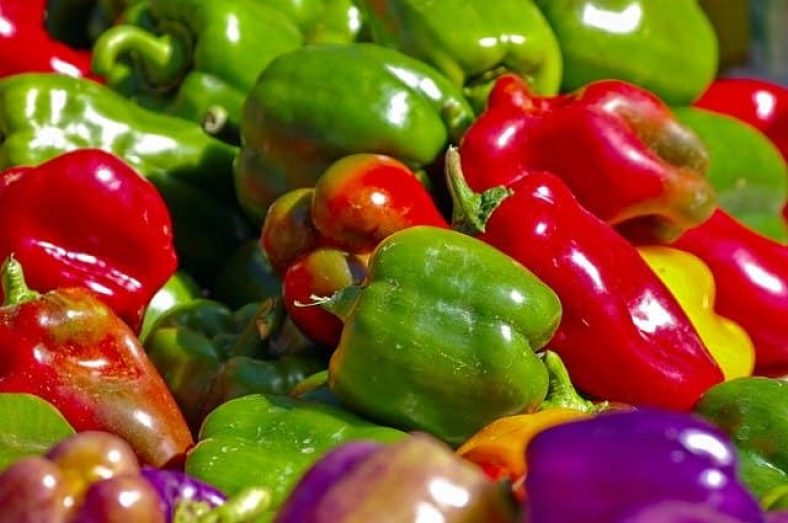 Can Rabbits Eat Bell Peppers [2021] Safe Have Red Yellow Green Sweet