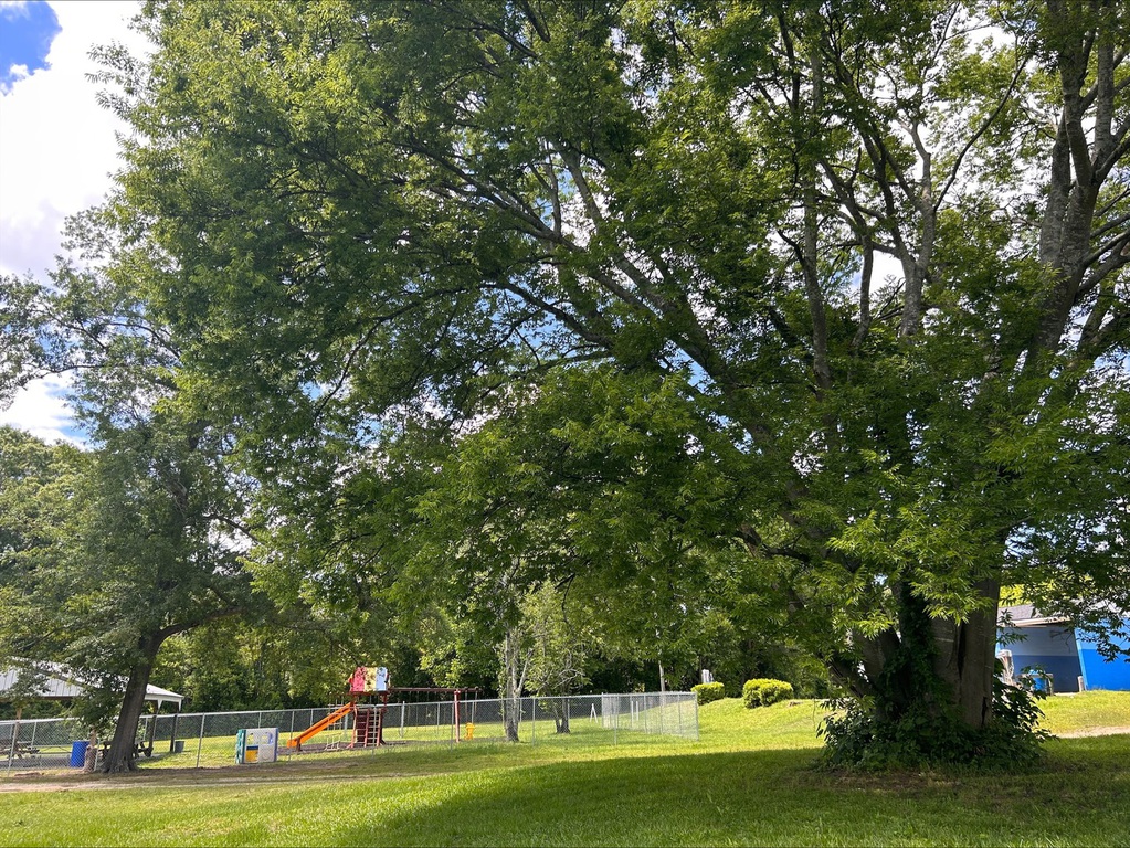 Rembert Area Community Coalition Photo Gallery