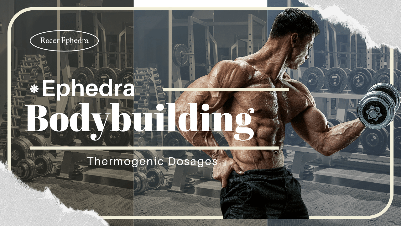 Ephedra Thermogenic for Bodybuilding Dosage Racer Ephedra