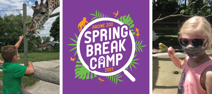 Spring Break Zoo Camp Kitchen