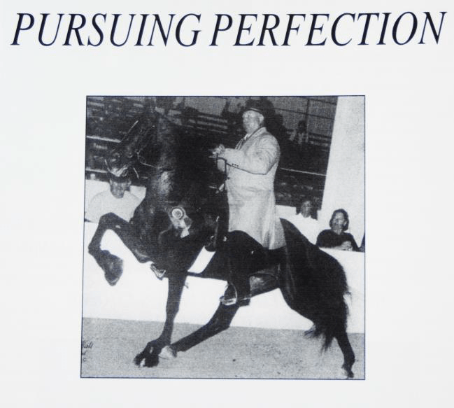 Championship History