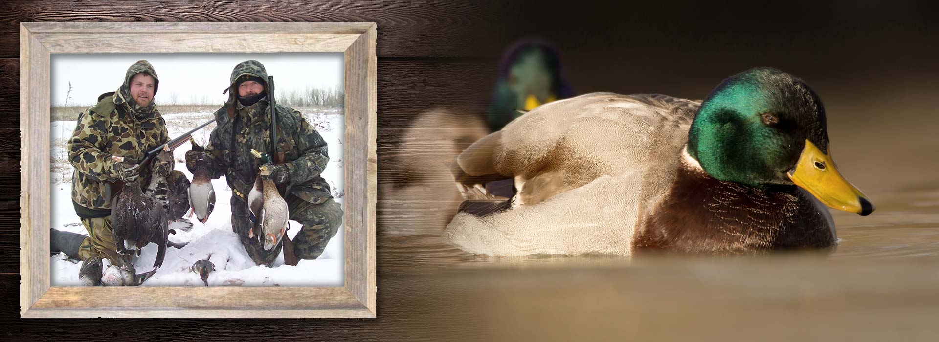 North Central Kansas Hunting Outfitter & Guide Service Pheasant, Deer