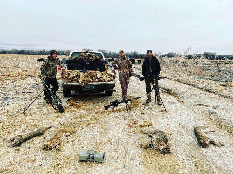 Kansas Predator Hunts Guided Coyote and Bobcat Hunts in Kansas