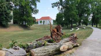 WhatsApp Image 2021-07-20 at 13.30.42 WhatsApp Image 2021-07-20 at 13.30.42