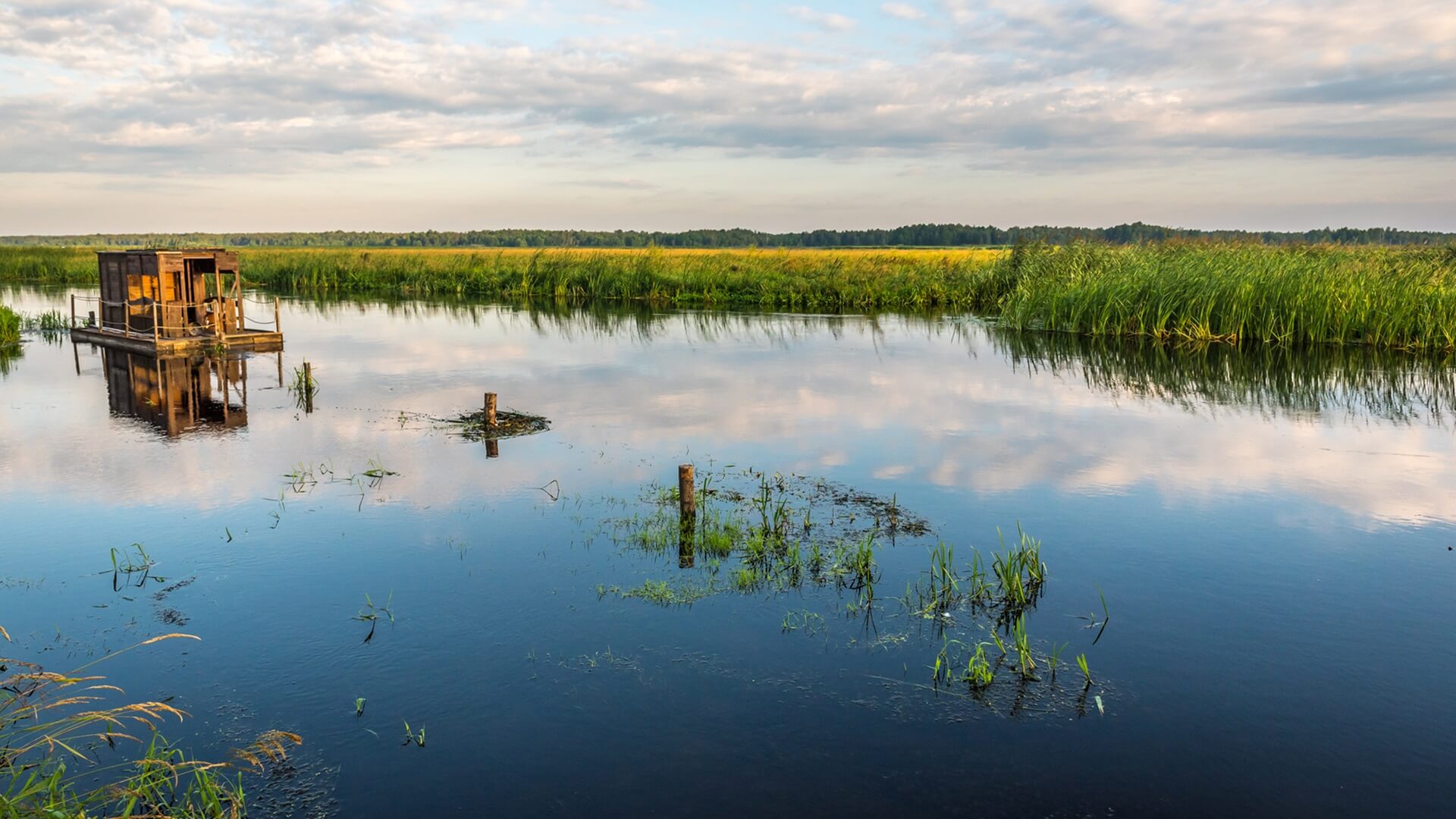 W 9 tygodni po Podlasiu Biebrzańki Park Narodowy największy w Polsce