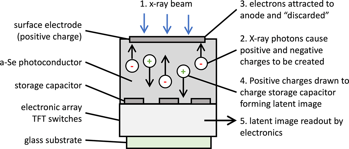 Direct Digital Radiography System