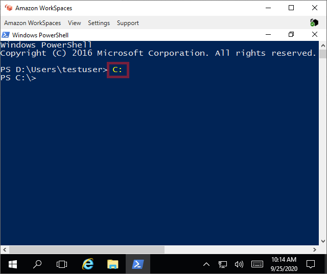 How to access the C Drive in Amazon Workspaces Radish Logic