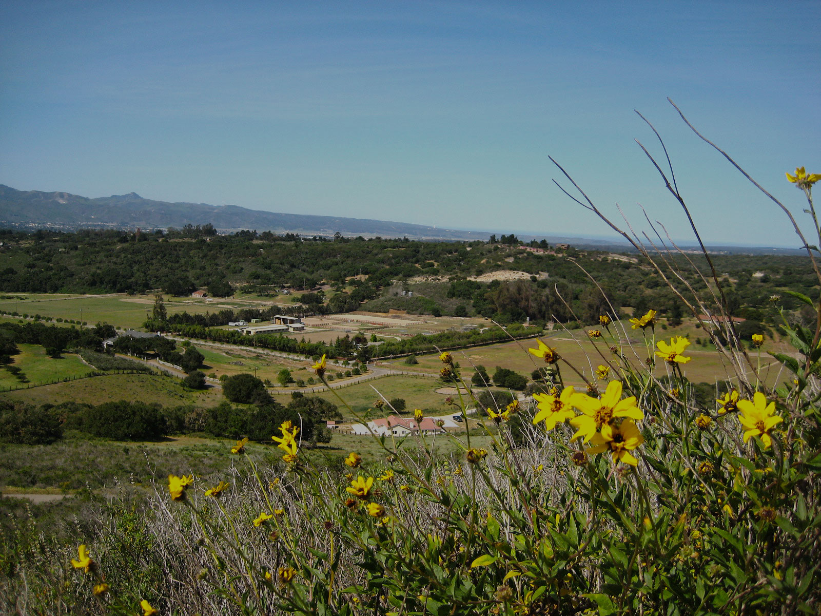 Services_Ranch_SearchBoxImage_adj Radius Commercial Real Estate