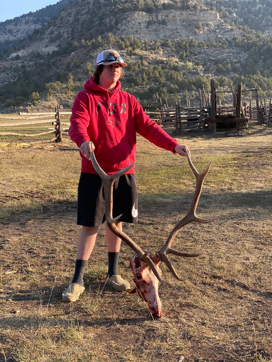 Colorado Elk Hunting