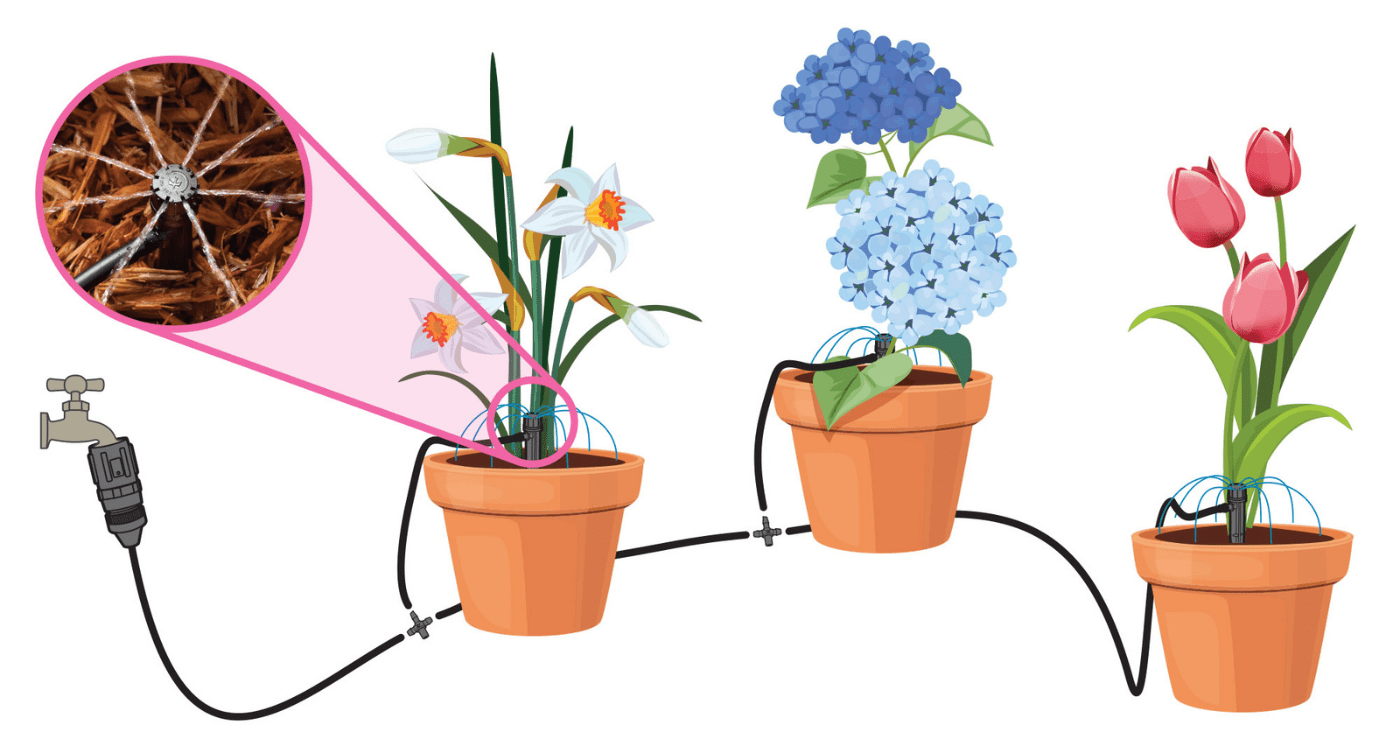 Potted Plant Watering Kit Rain Bird