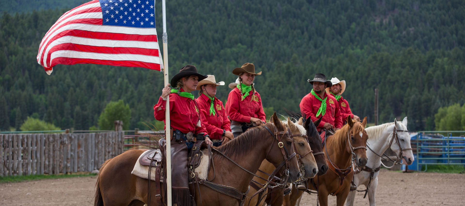Colorado Quarter Horses for Sale Colorado Horseback Riding