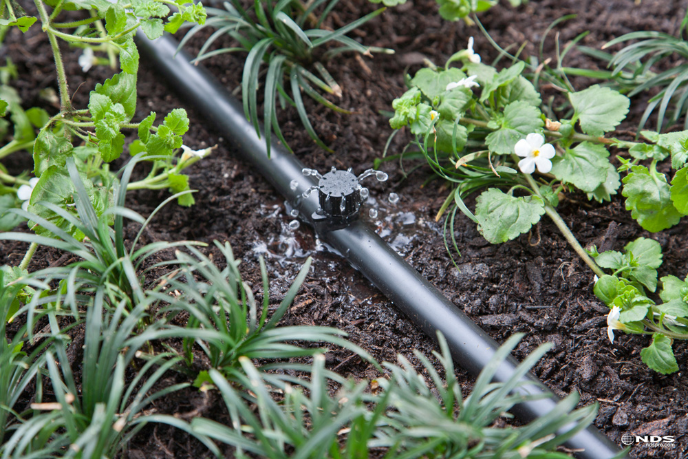Top 6 Reasons Why Drip Irrigation Outperforms Traditional Sprinkler