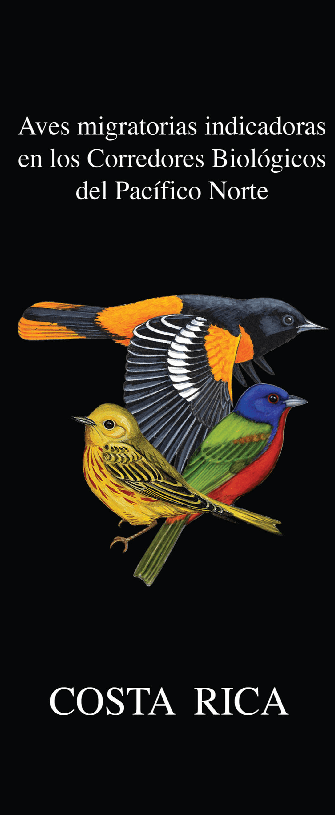 Custom Wildlife Field Guides by Rainforest Publications