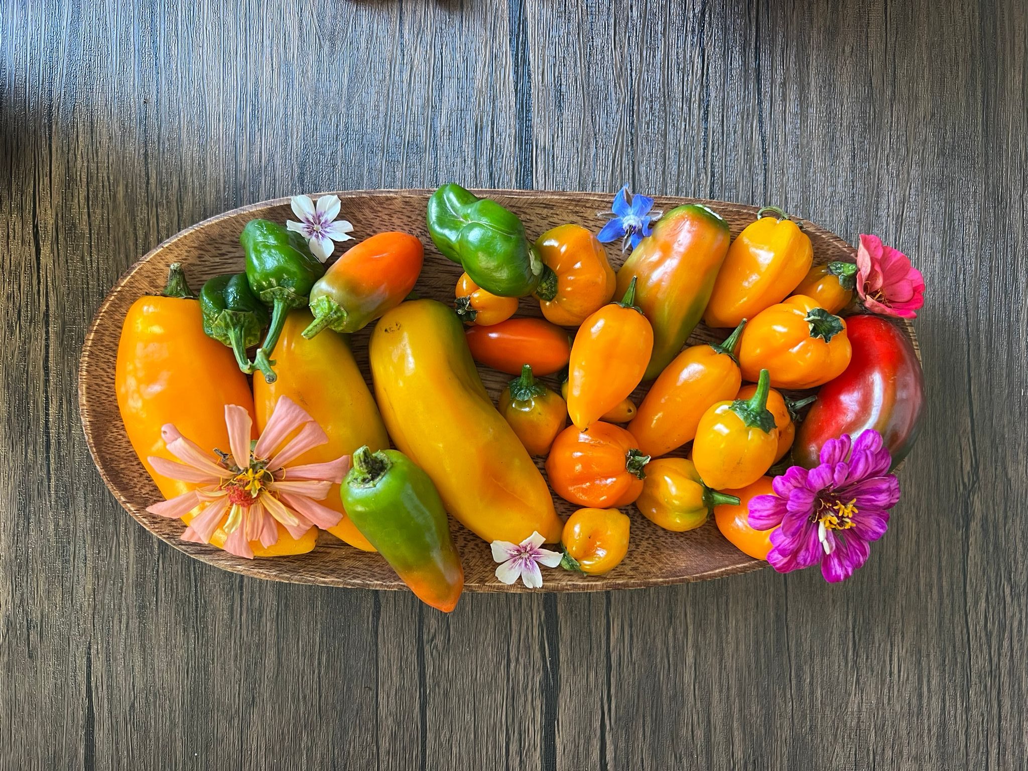 Growing Vegetables in Florida During Summer A Guide Raised Bed Gardening Guide