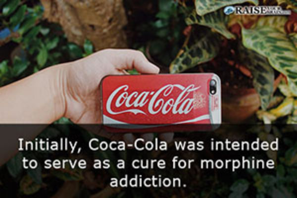 104 8 Mostly Sad Facts Raise Your Brain