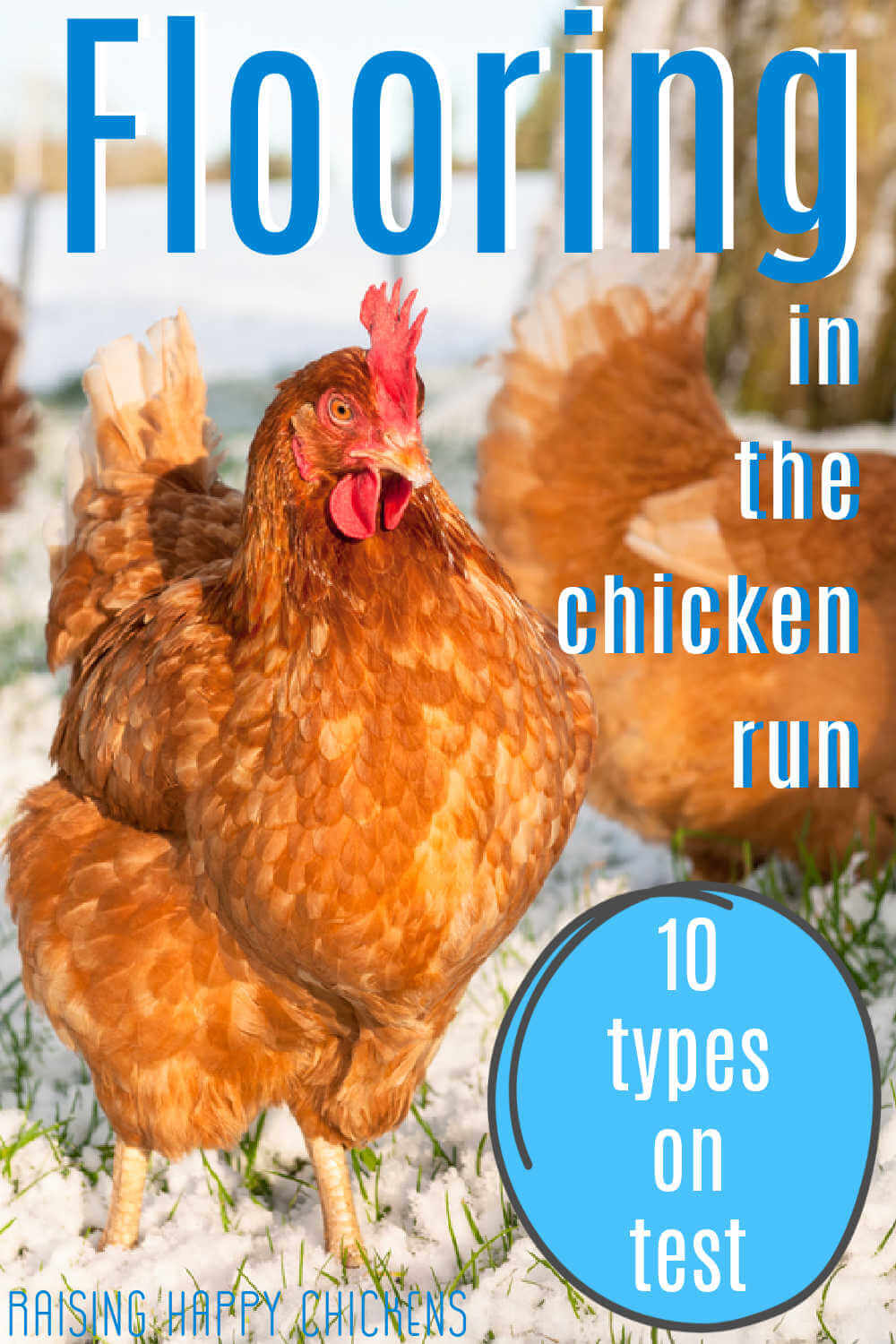 Best flooring for the chicken run ten different types on test.