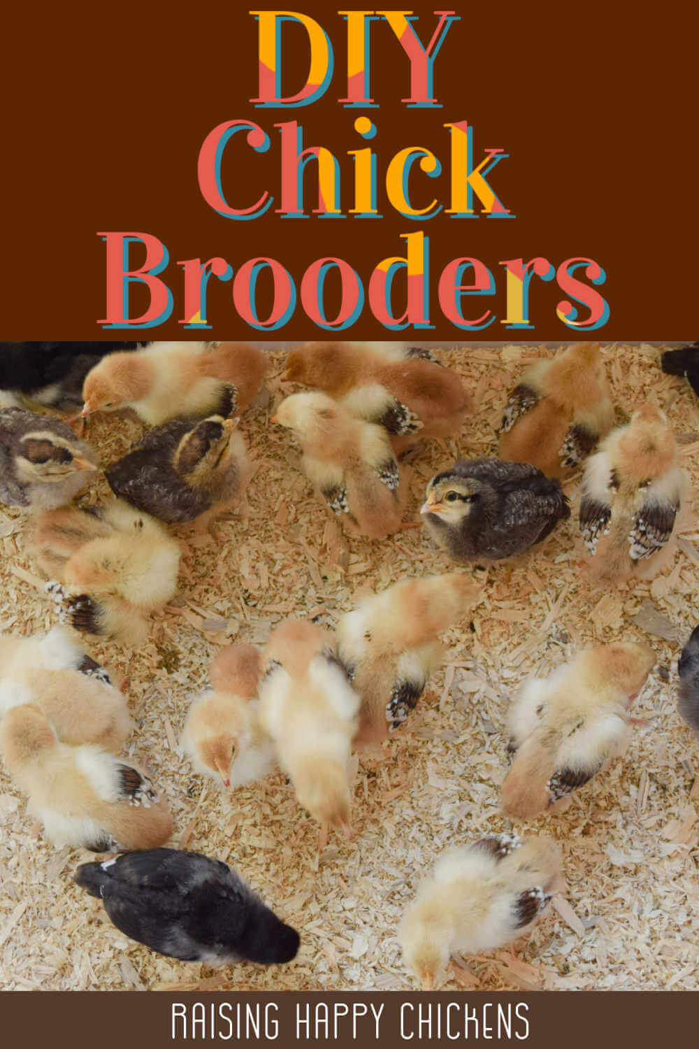 How to make a DIY brooder box for new and growing chicks.