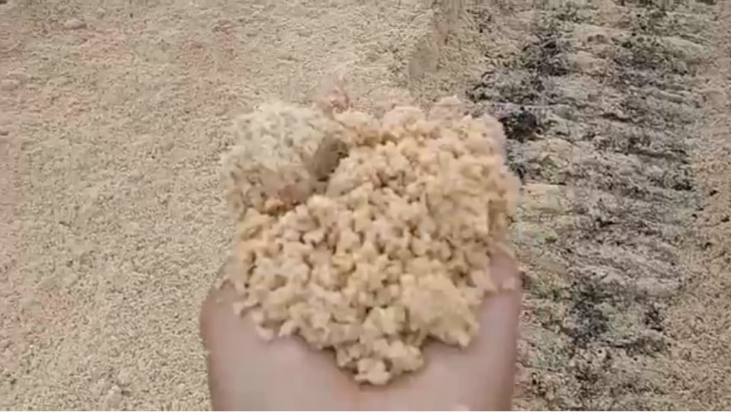 Seluk Beluk Bisnis Jual Pasir Di Jakarta Timur Ciracas -