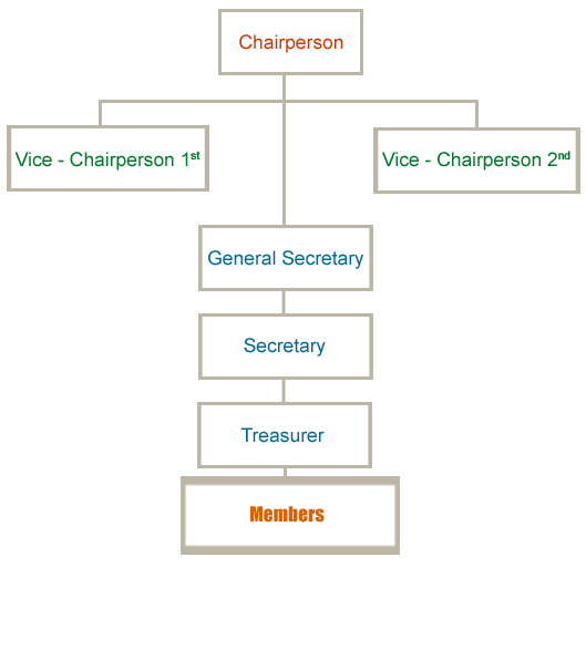 Executive Board Members