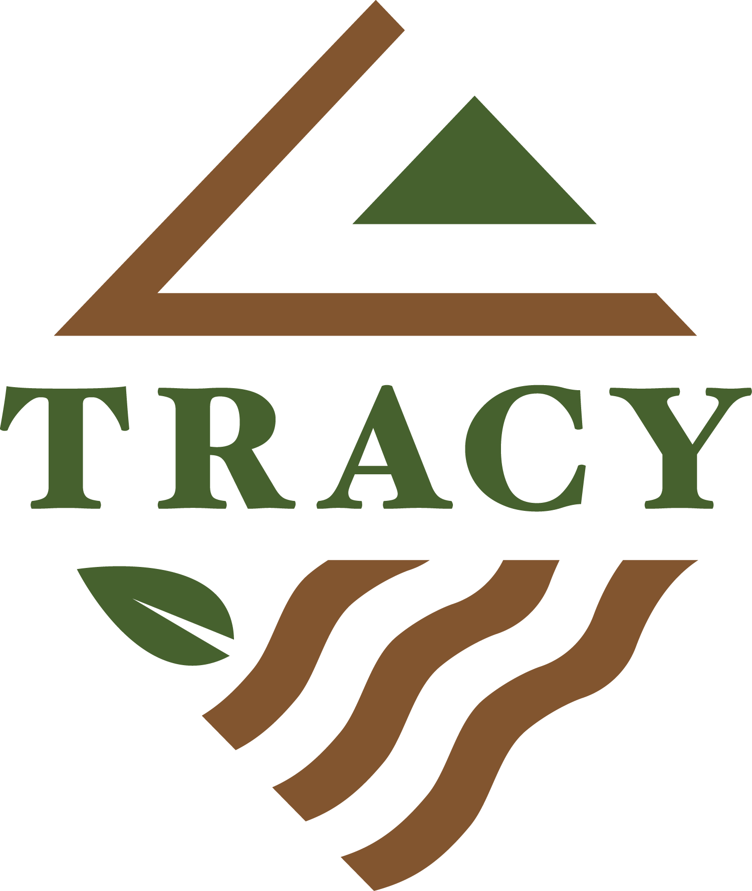 Director of Community and Economic Development Tracy, CA Ralph