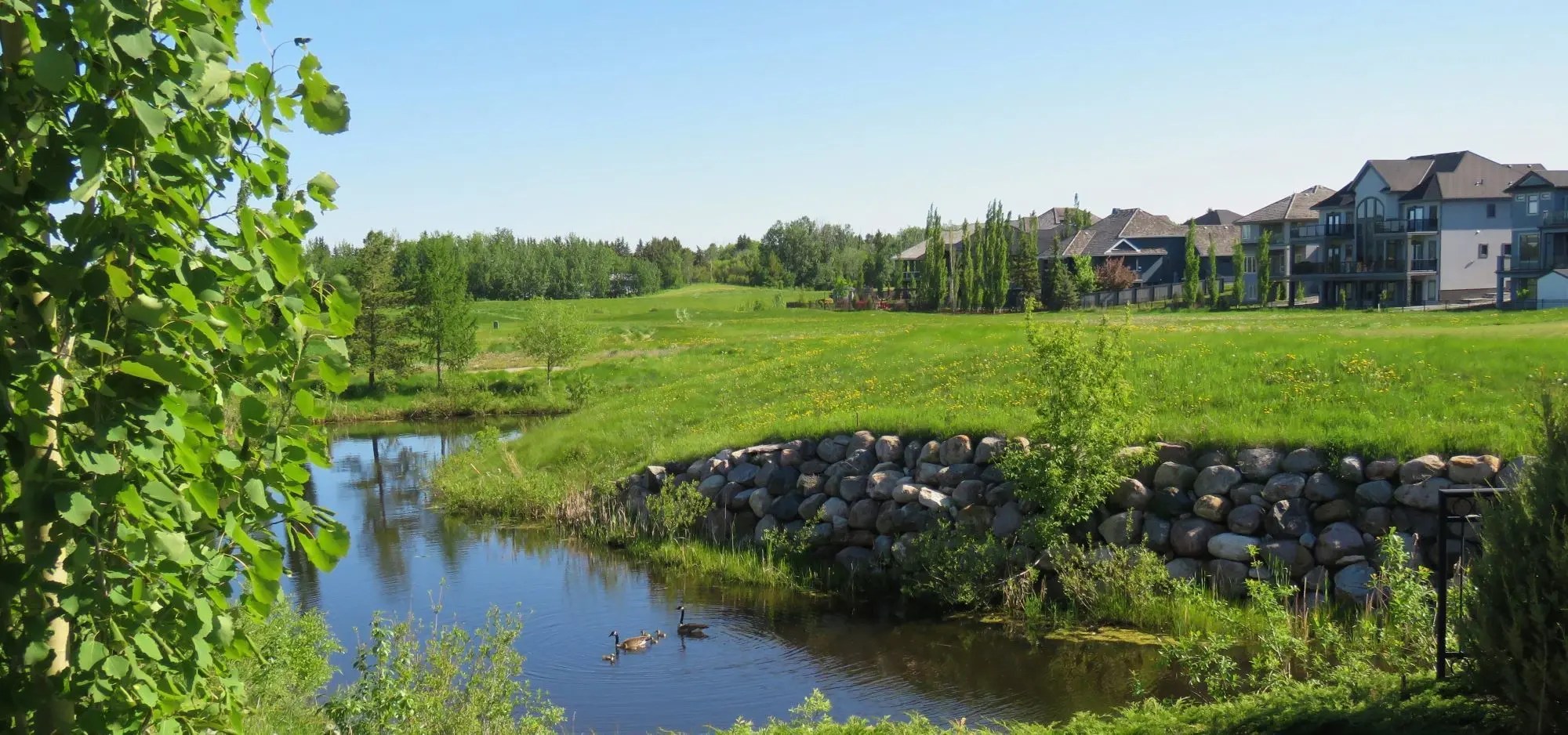 Ralph Henze Sherwood Park Real Estate, AB