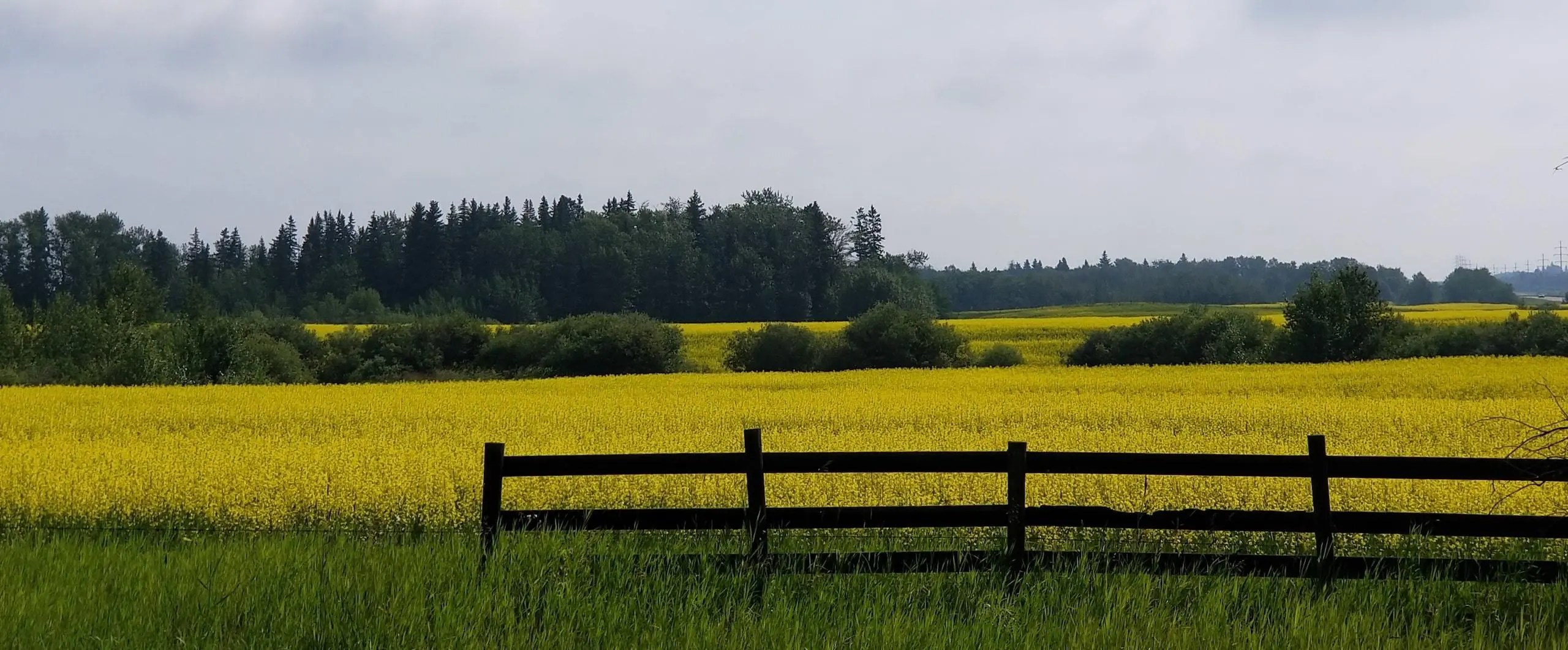 Sherwood Park Acreages For Sale Sherwood Park, AB Ralph Henze