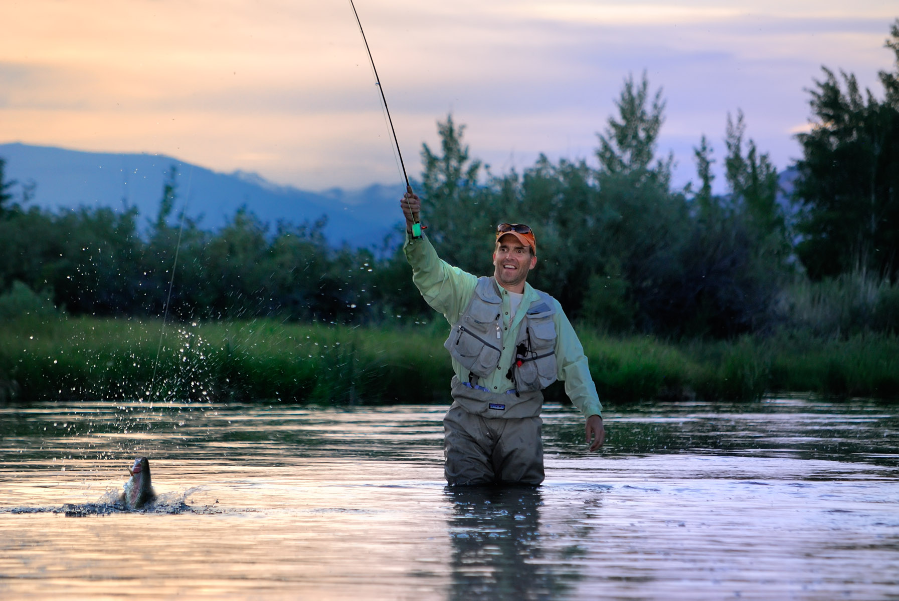 Our Specialties Ralston Group Properties