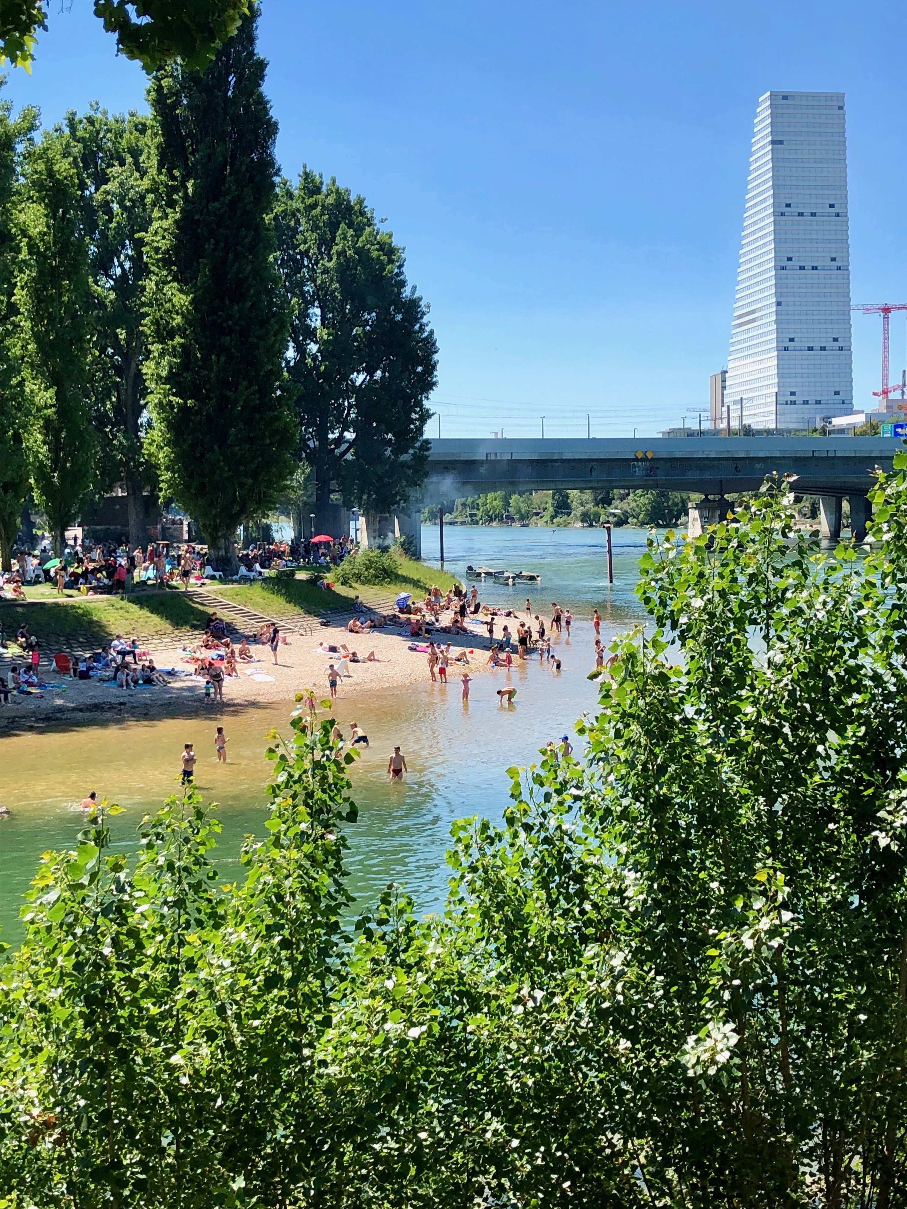 Rheinspaziergang, 02.06.2019 3 IMG 4779