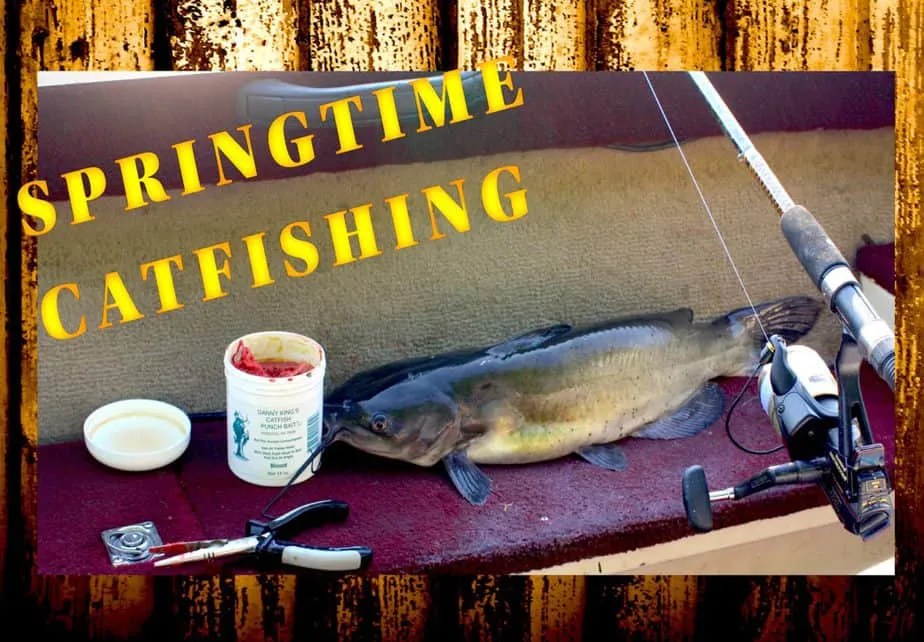 Spring Catfishing CHANNEL CATFISH Rambling Angler Outdoors