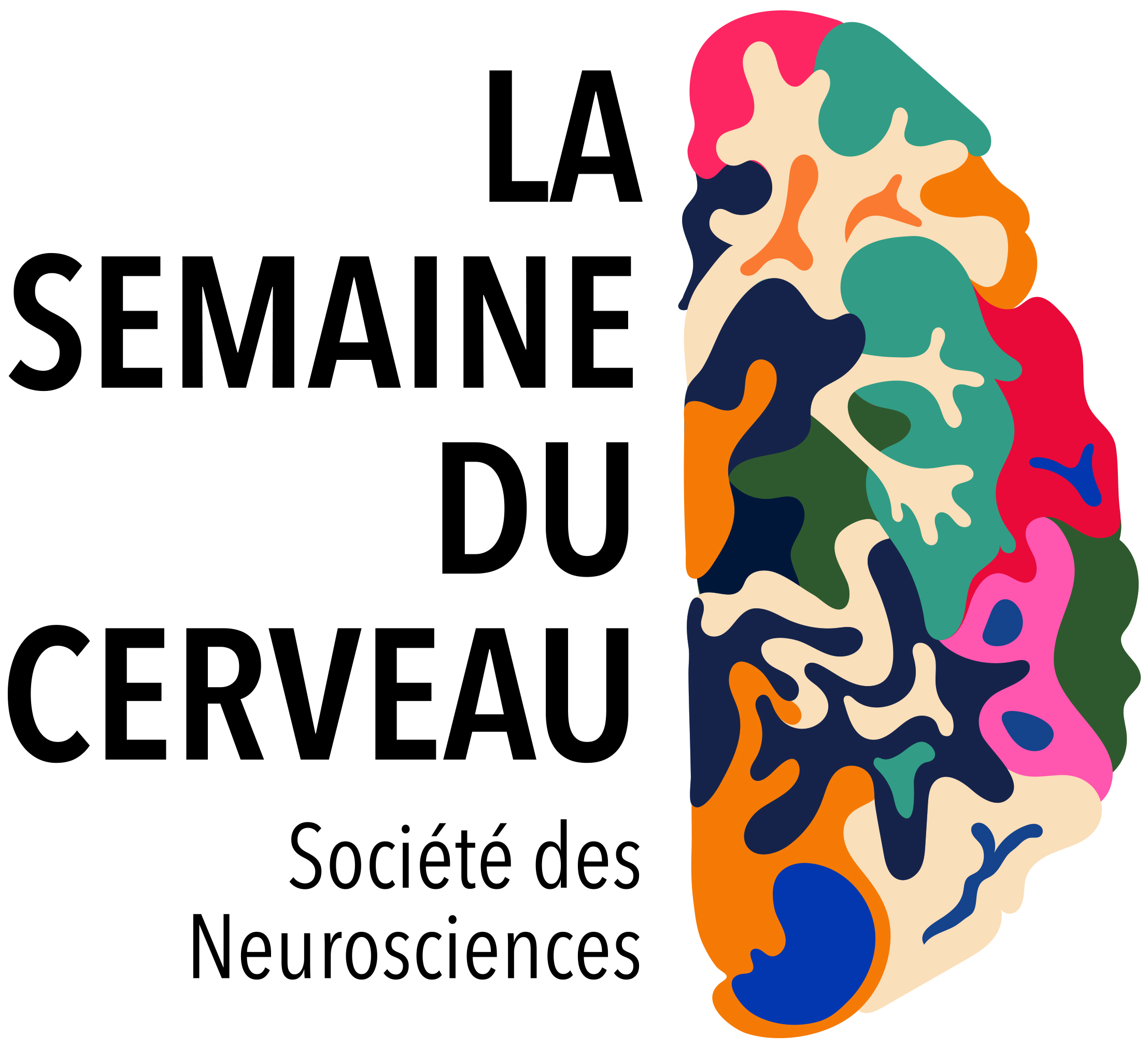 Semaine du Cerveau de Toulouse 2022 Divers Ramdam Magazine