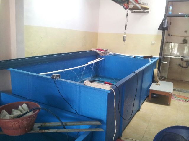 Kolam Fiber Untuk Alternatif Budidaya Lele