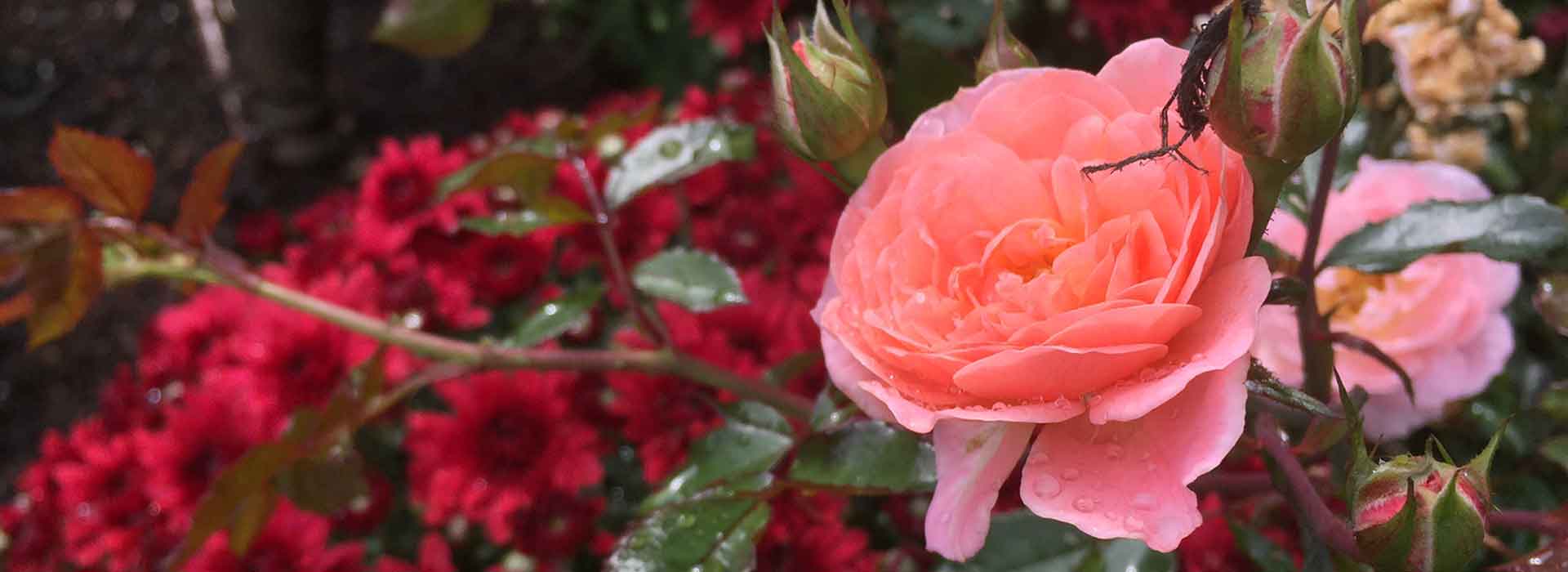 to Dean C. Ramsdell Landscaping, Wells Maine Ramsdell