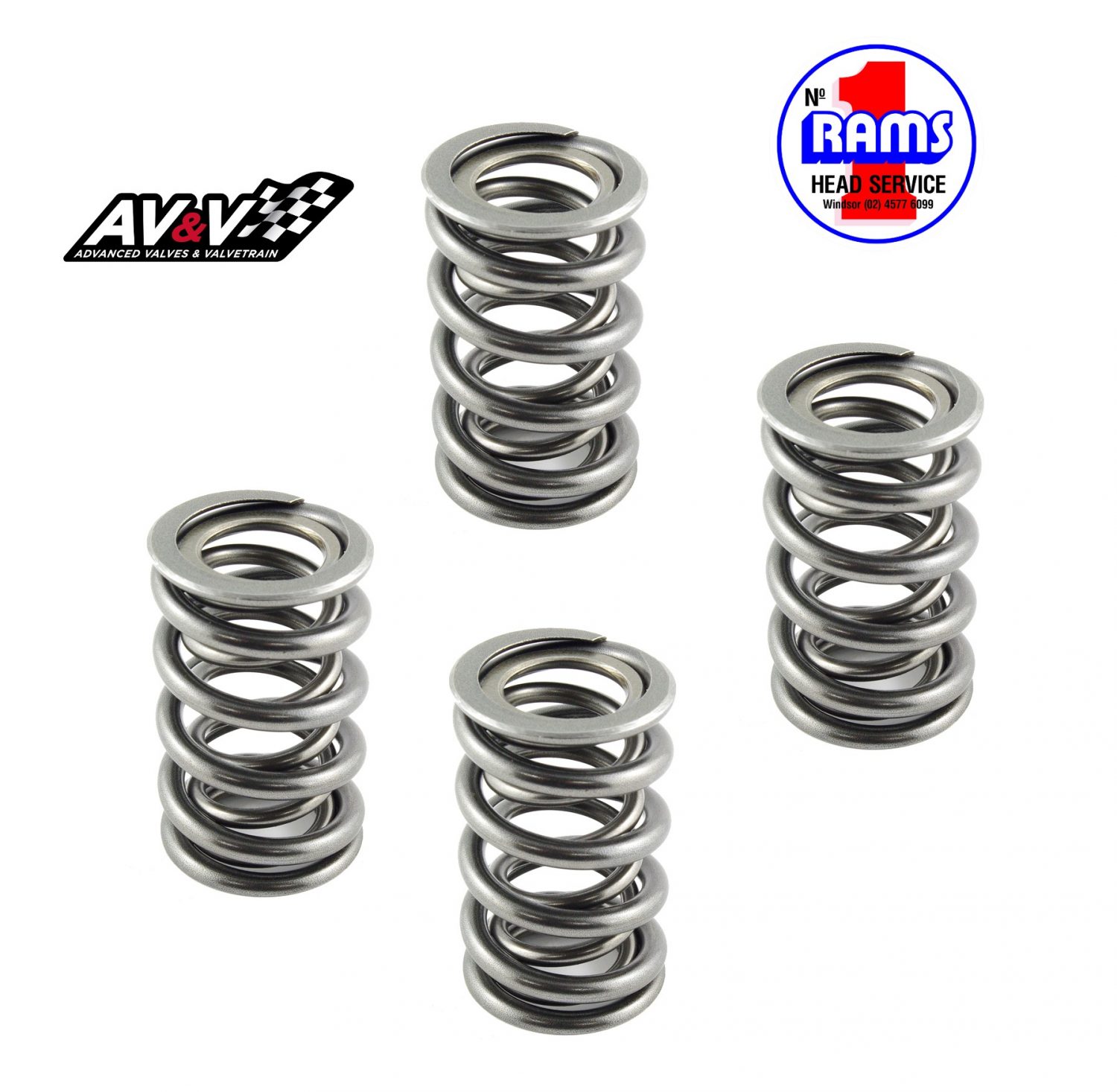 AV&V S6004 HARLEY VALVE SPRINGS Rams Head Service