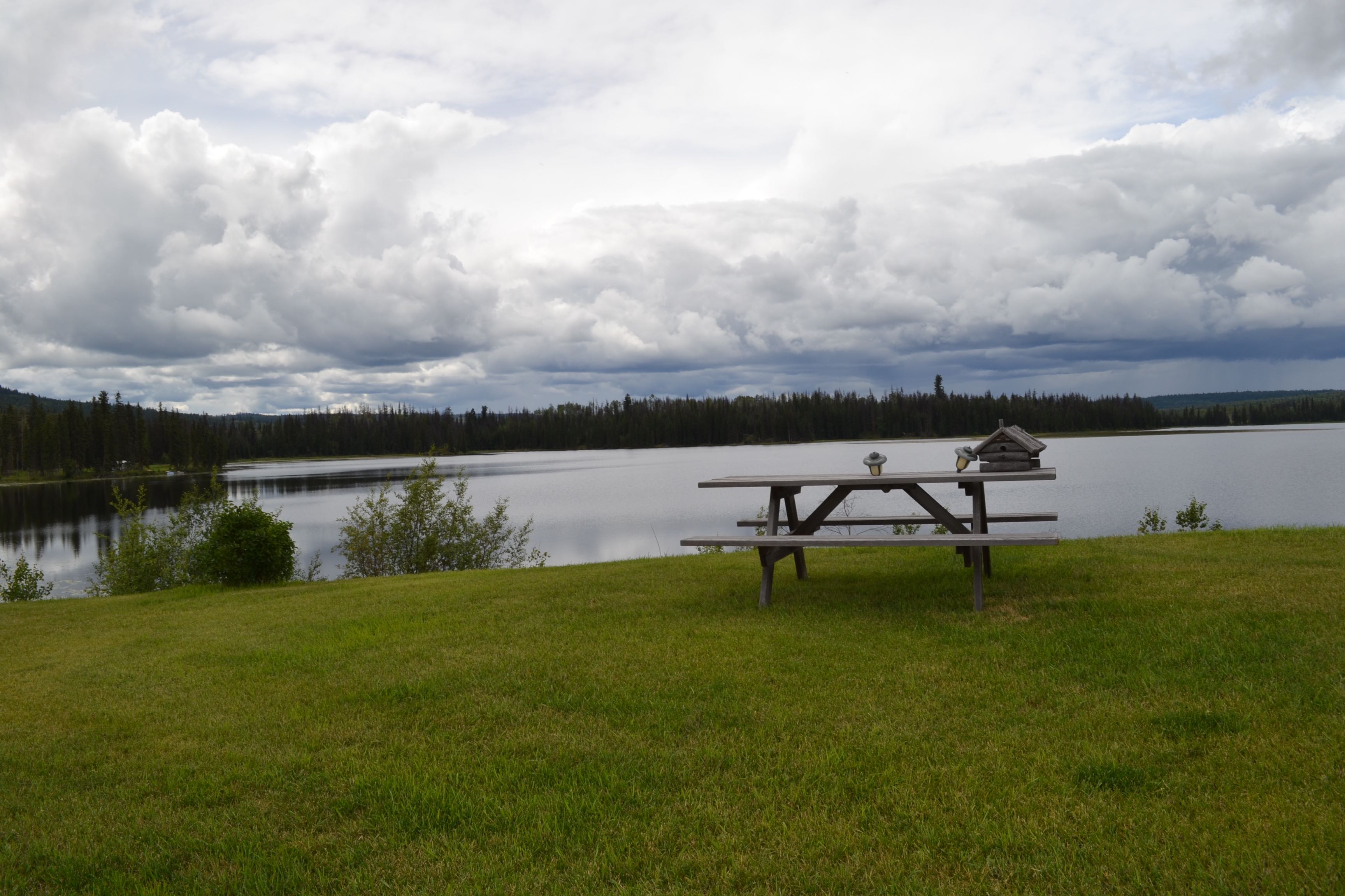 Sharpe Lake Ranch Ranches Only Rural Real Estate