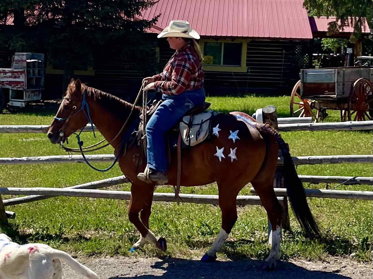 Horseback Riding Experiences Rancho De Los Cerros