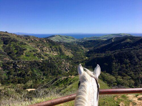 Wrangler / Guide needed at Guest Ranch in Santa Barbara, California