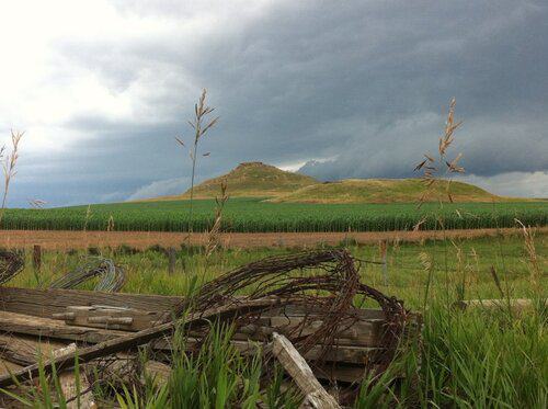 [FILLED] Farm and Ranch Hand Wanted in ND