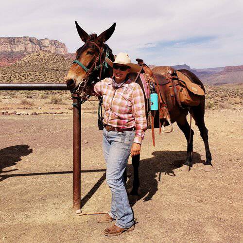 Position Wanted Wrangler / Ranch Hand