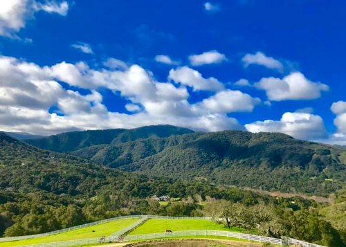 Horse and Alpaca Farm Manager needed in California