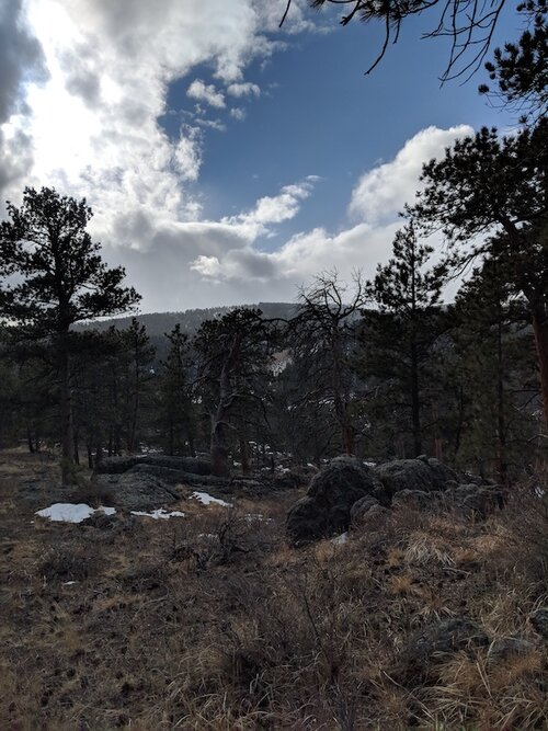 [FILLED] Domestic Manager / Caretaker Position available in the