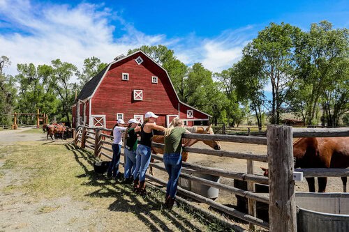 Yearround Chef needed at Historic Dude & Guest Ranches Arizona
