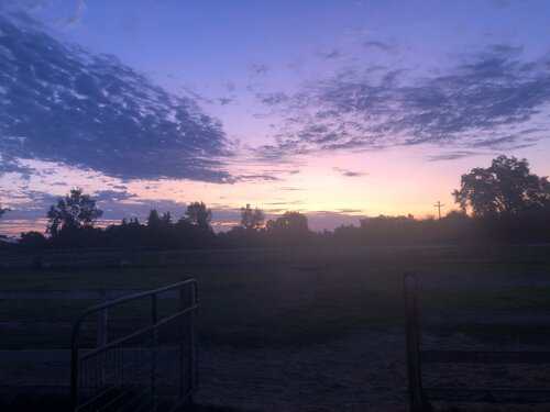 Equine & Ranch Caretaker needed in Gridley, California